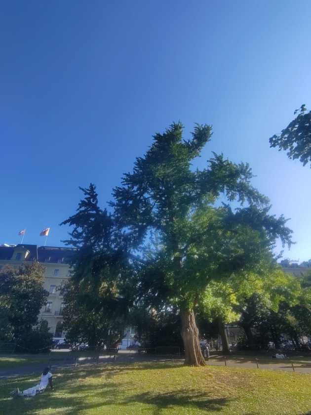 Img 20250705 Wa0051