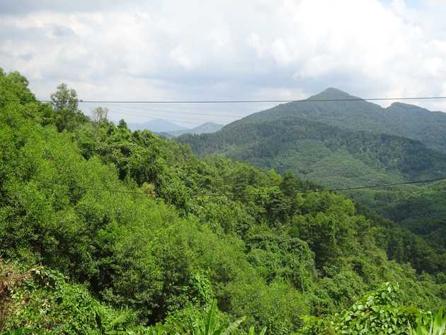 The scenery got&nbsp;greener.