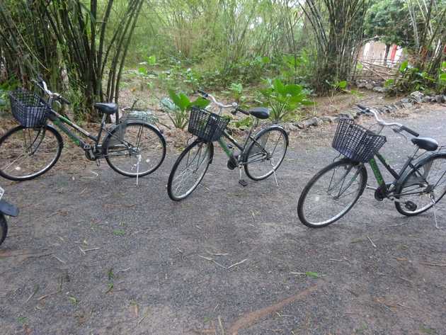 Our wheels