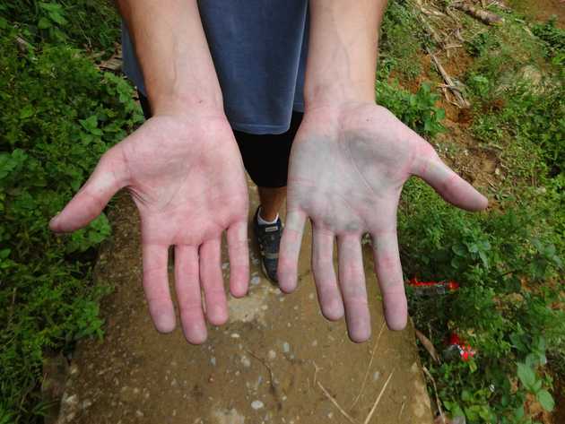 Sapa