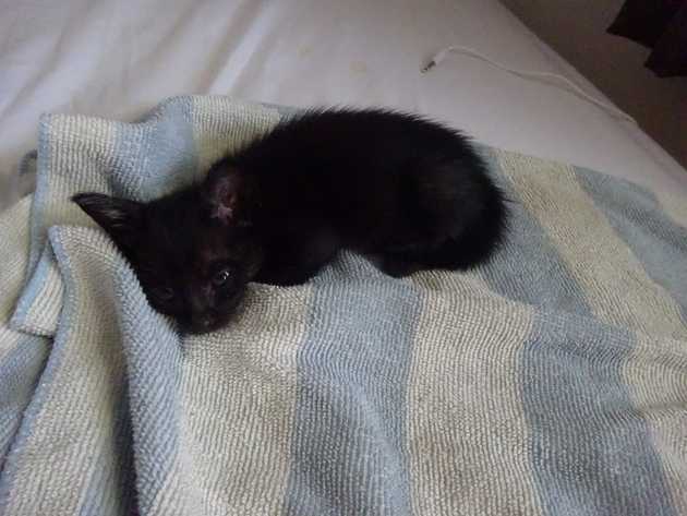 She was a&nbsp;cutey