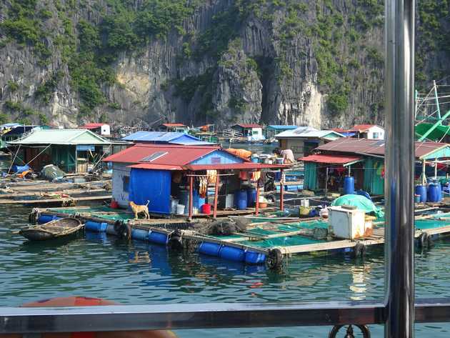 Whole communities just living in floating&nbsp;houses