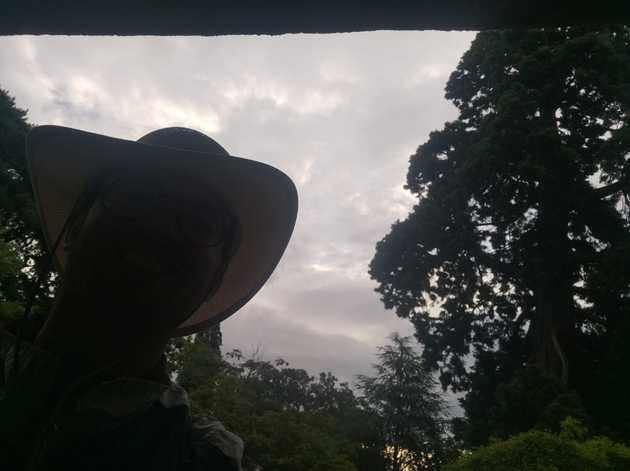 Img 20250706 Wa0117