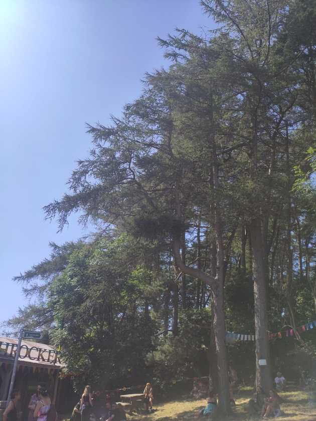 Img 20260721 Wa0034