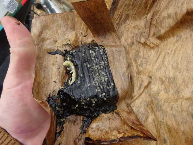 Dried banana covered in black goo — nicer than it&nbsp;looks.