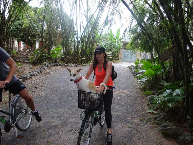 She even went in the bike&nbsp;basket